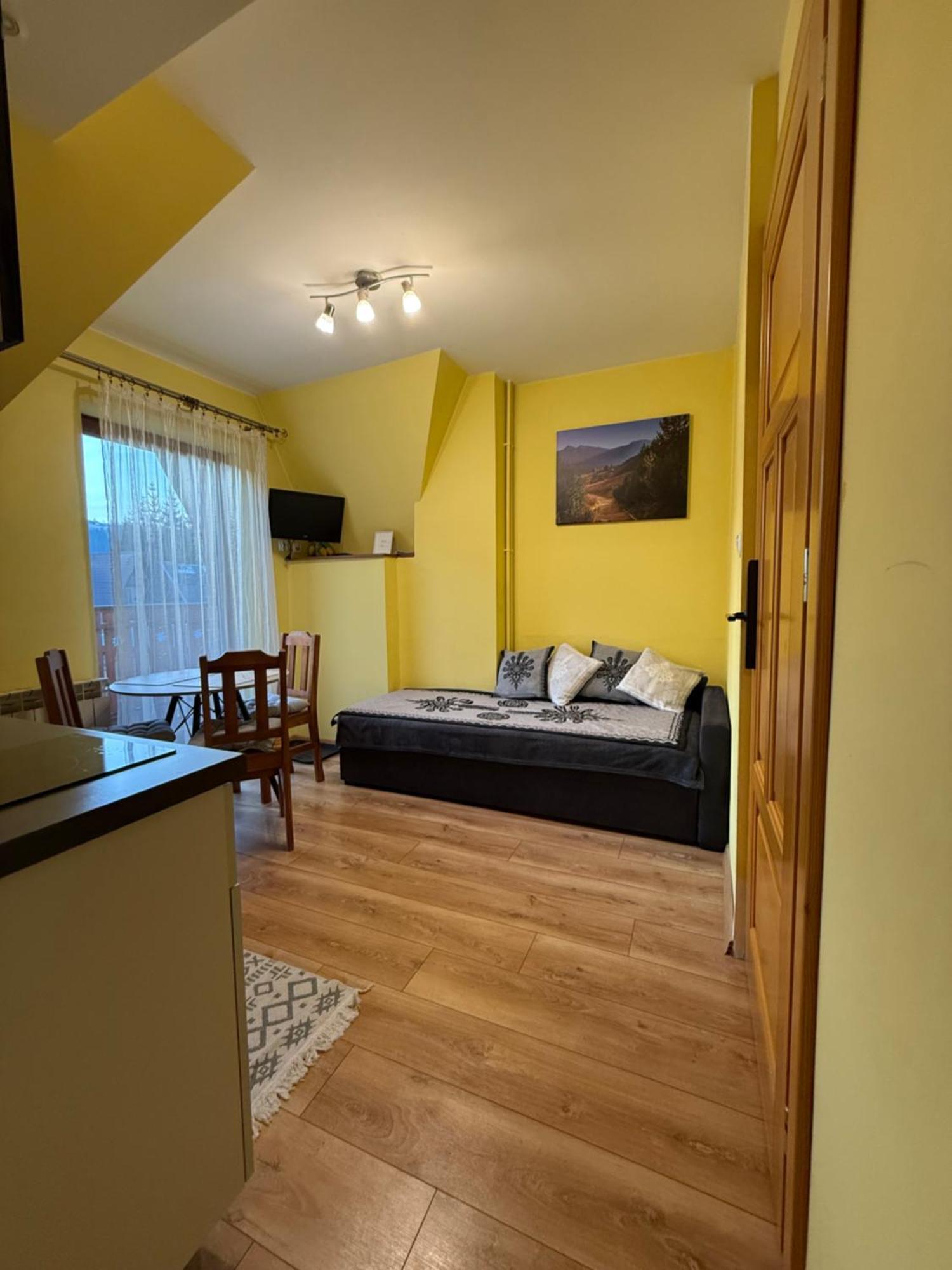 Apartamenty Nad Potokiem Aneta Burliga Zakopane Exteriér fotografie